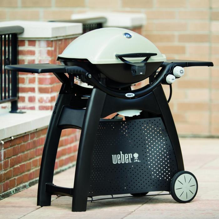 Weber q3000 titanium