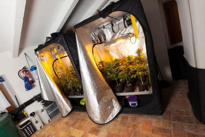 Cannabis ventilation chambre marijuana grow cannaweed cooltube filtre charbon armoire fabriquer alchimia cultivo