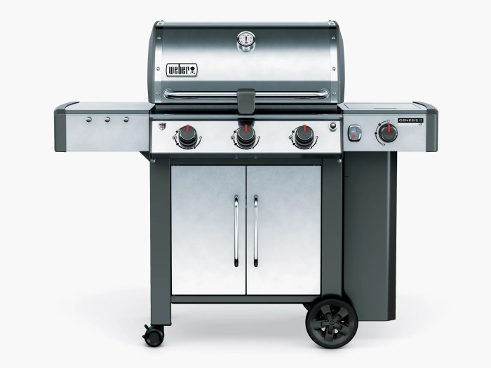 Barbecue weber soldes castorama