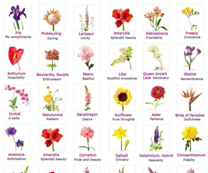 Liste nom de fleur exotique