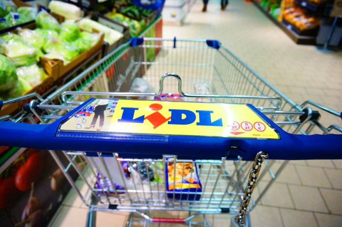 Chariot diable lidl