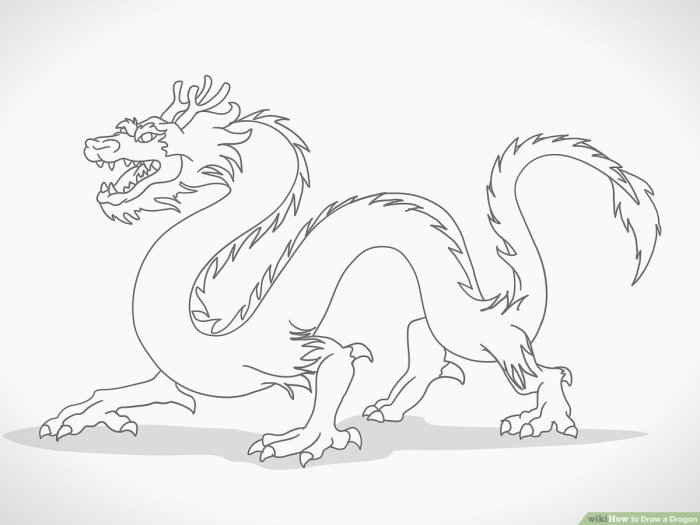 Dessin simple dragon