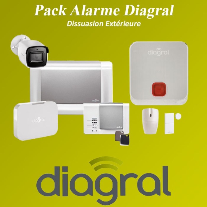 Promo alarme diagral castorama