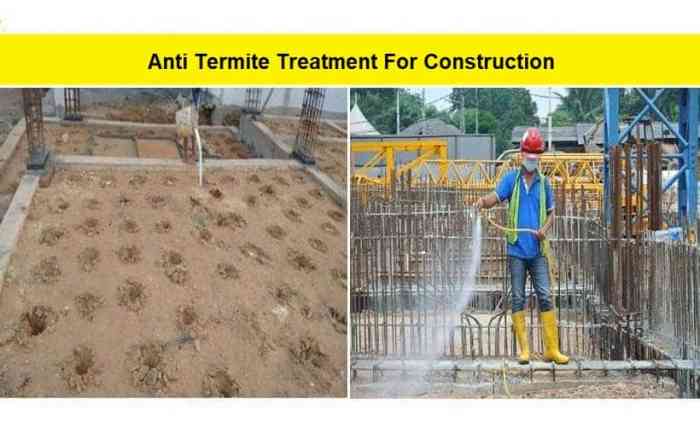 Produit anti termite leroy merlin