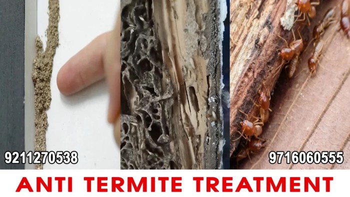 Produit anti termite leroy merlin