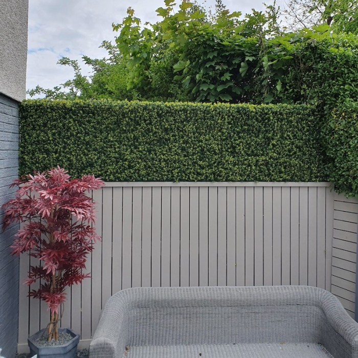 Boxwood hedge hedges 5m timber