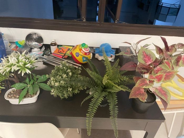 Artificial fejka ikea potted artificiales vardagsrum nyheter konstgjord sedge papyrus