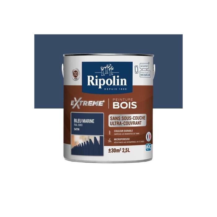 Bleu pop ripolin