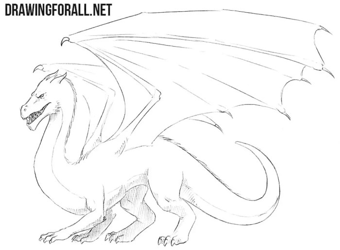 Dessin de dragon facile a faire