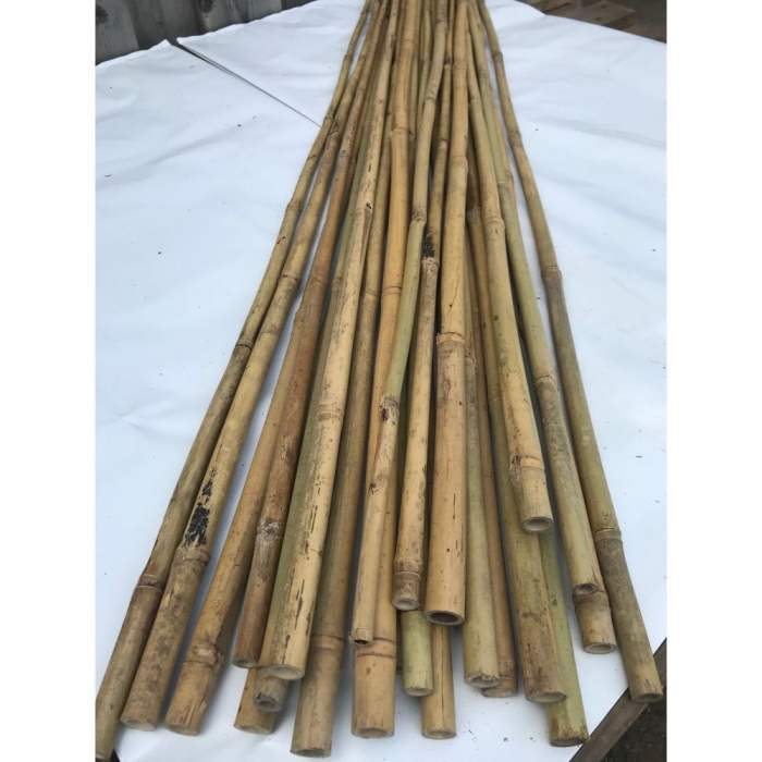 Bamboo cane 90cm 20pk canes