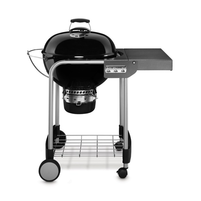 Barbecue weber desjardins