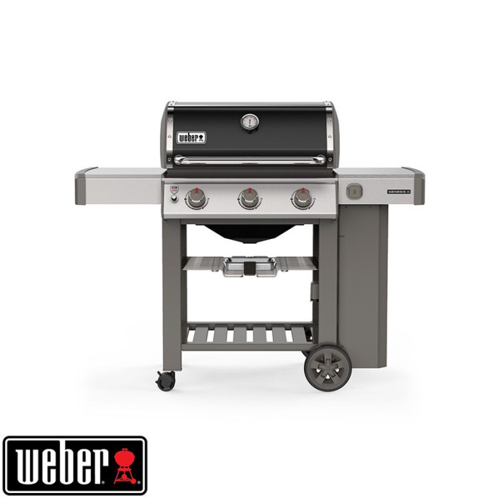 Barbecue weber desjardins