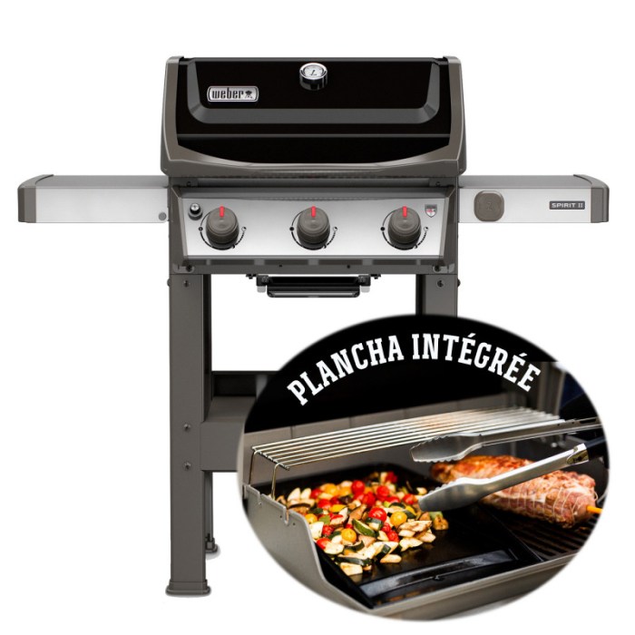 Barbecue weber desjardins