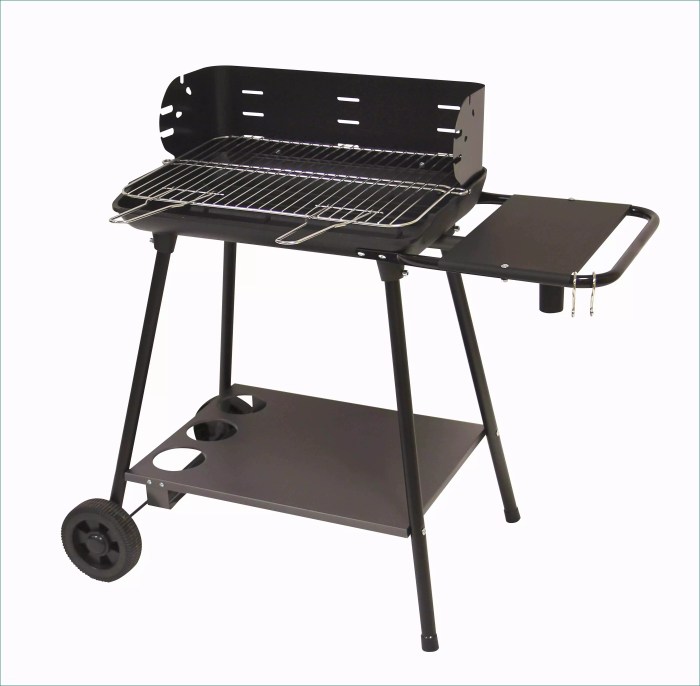 Barbecue le marquier leroy merlin