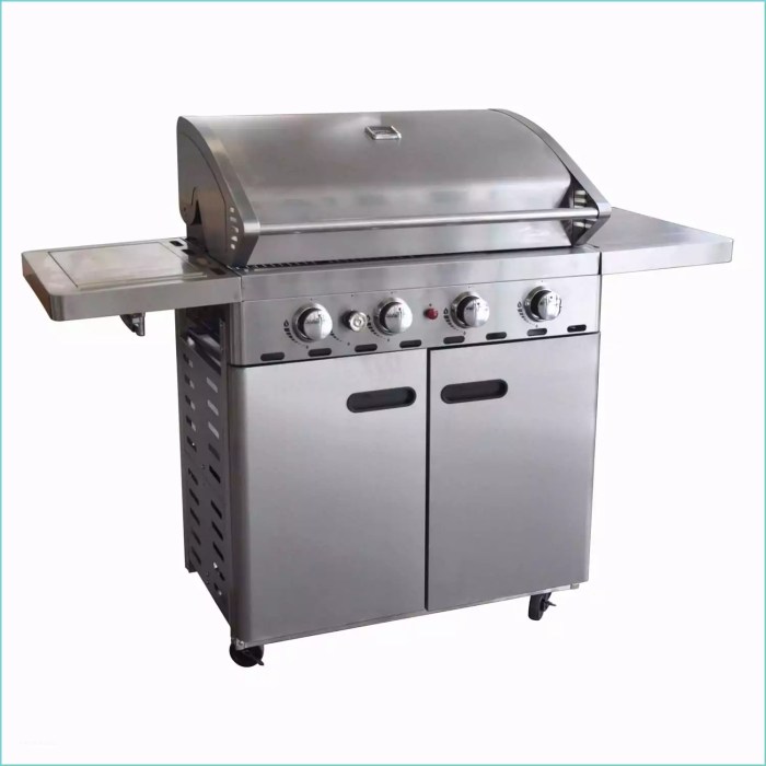 Gaz plancha barbecue brico campingaz xpert depot barbacoa rocky trendmetr brycus barbacoas leroymerlin trovaprezzi gasgrill