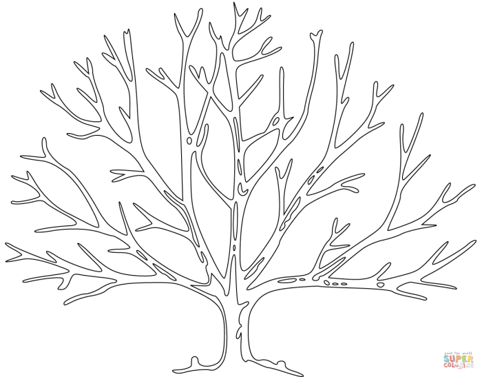 Tree printable leaves choose board trees coloring