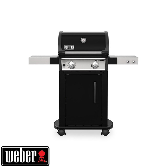 Barbecue weber charbon fumé facilement maniable bac gaz destiné déplaçable allumage amateurs grillé