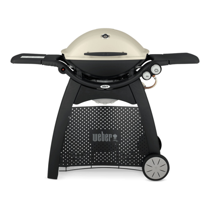 Weber q3000 titanium