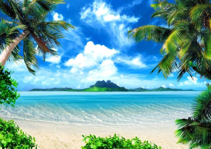 Beach screensavers wallpaper hd summer tropical wallpapers background computer backgrounds google ocean beautiful desktop beaches palm trees tree water gratis