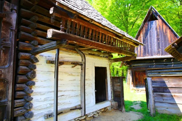 Maison en bois pas cher roumanie