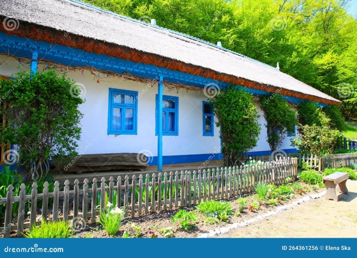 Wooden house centurie past traditional rural romania old stock