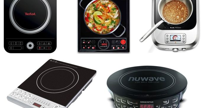 Induction burner cooktop two portable