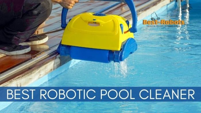 Robot piscine hors sol castorama