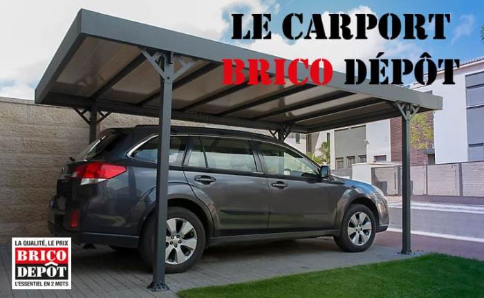 Brico carport pergola voiture gamboahinestrosa vert modulo plat toit couverture dealabs 3x5 15m concernant quot