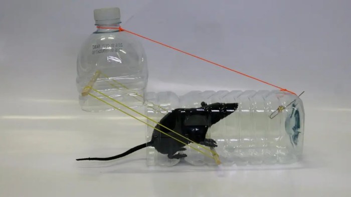 Mouse trap rat bottle make plastic diy