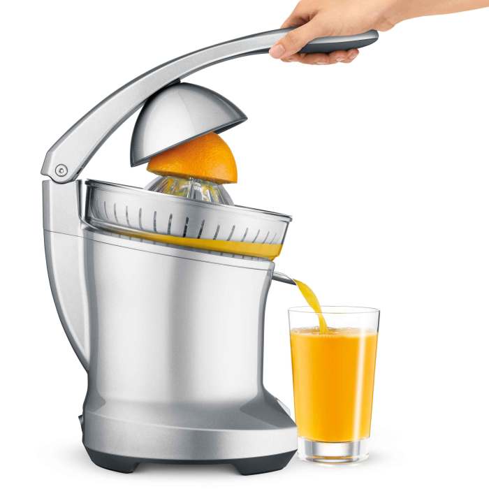 Citrus santos juice extractor juicer chrome base omcan