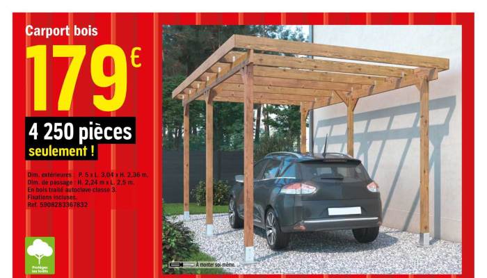 Brico depot carport voiture