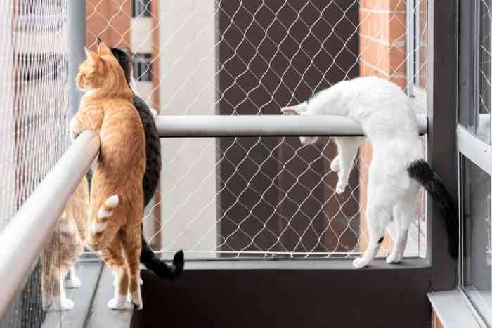 Filet balcon chat leroy merlin