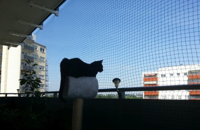 Filet balcon chat leroy merlin