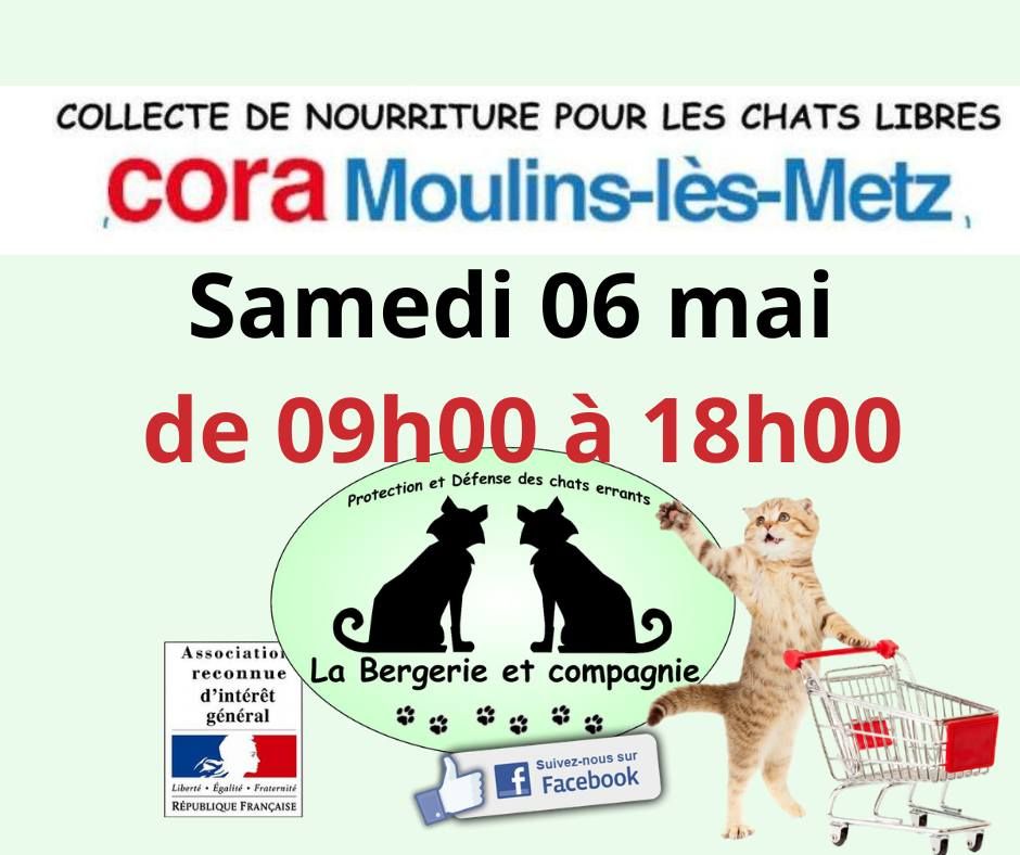 Location camionnette cora metz