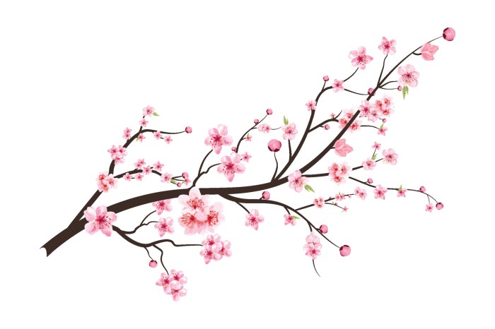 Blossom cherry drawing branch designs