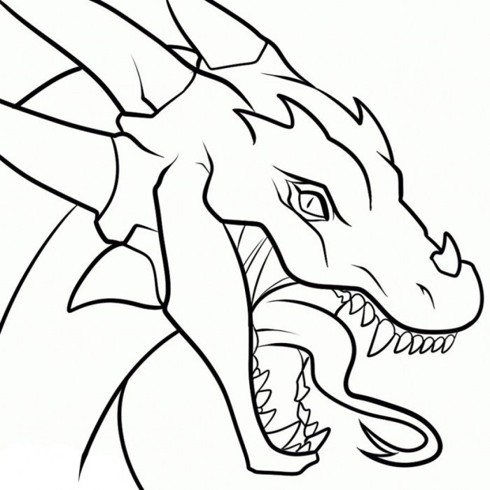 Dessin dragon facile a faire