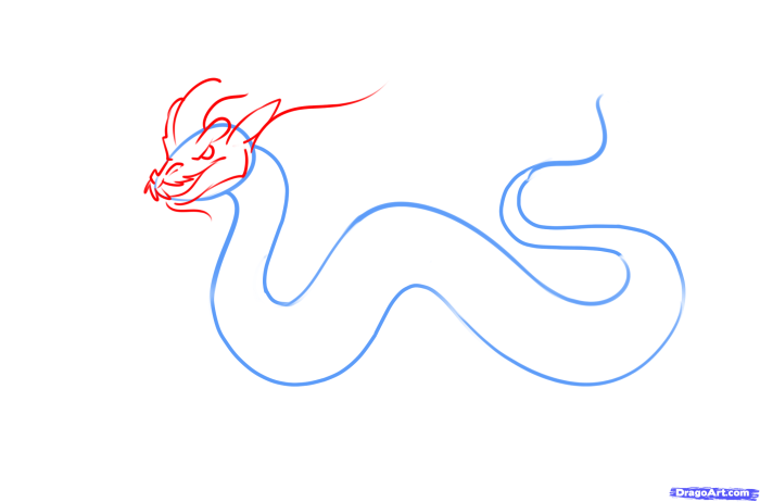 Dragon chinois dessin facile