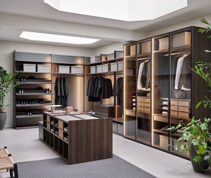 Closet modern mid century designs elegant practically residence northshore