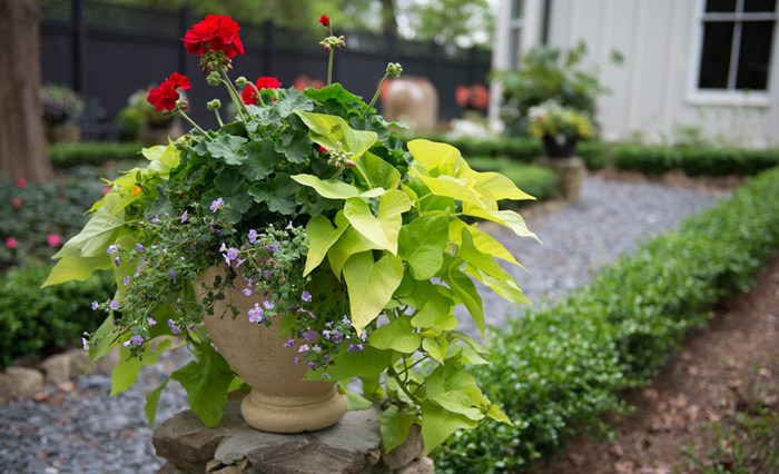 Planter recycle pots vasi riciclo primaverili containers kettle creativo realizzare 30seconds