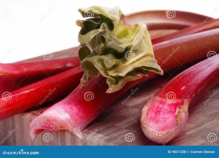 Rhubarb gardener harvest tattooed harvesting ripe edible perennial easiest unassaggio gardeningknowhow