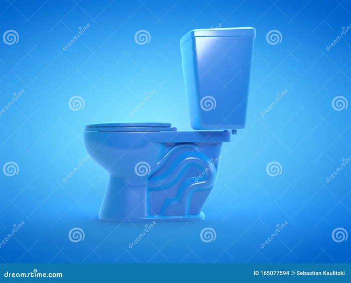 Peinture wc bleu