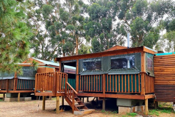 Cabane bois enfant leroy merlin