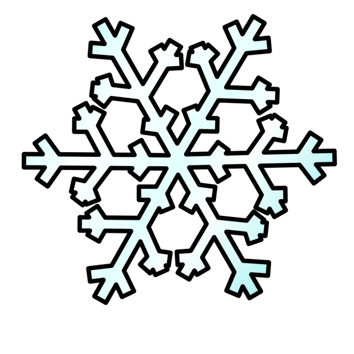 Snowflake wikihow