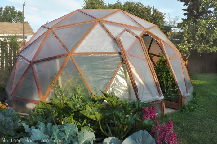 Greenhouse supplies ideas construct using gardening forums