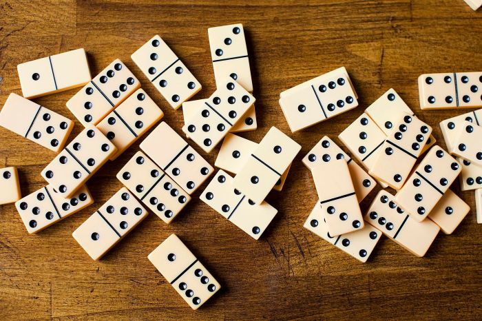 Leroy merlin domino