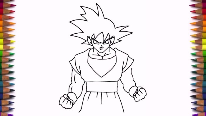 Comment dessiner sangoku facilement