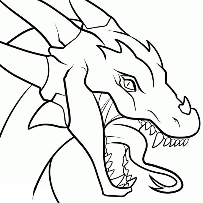 Comment faire un dragon en dessin