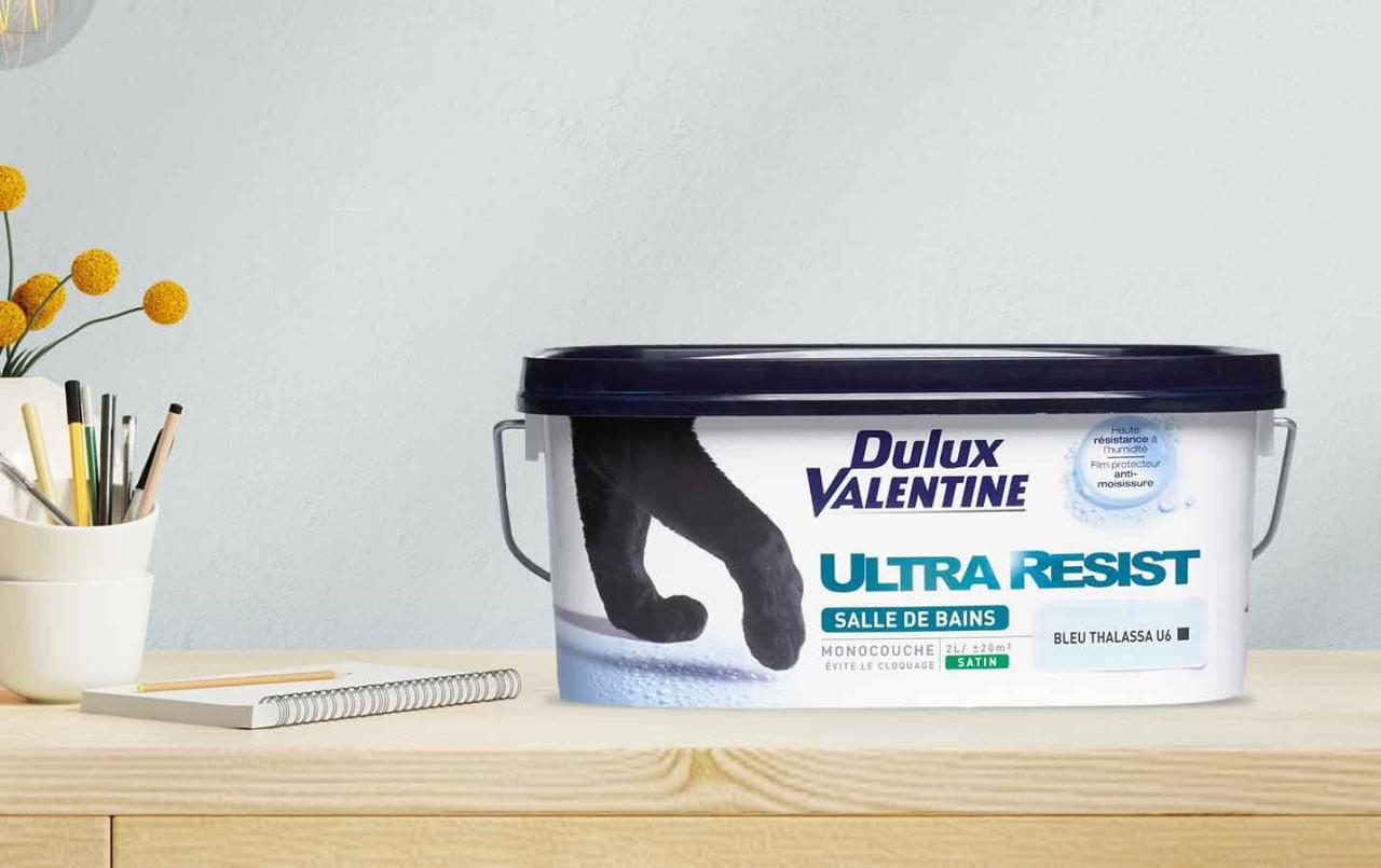 Dulux valentine simulation