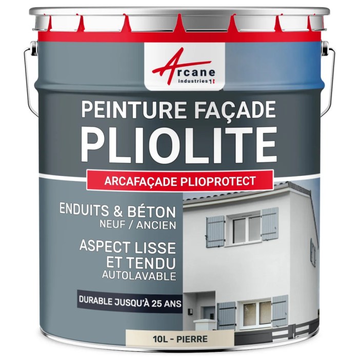 Peinture pliolite leroy merlin