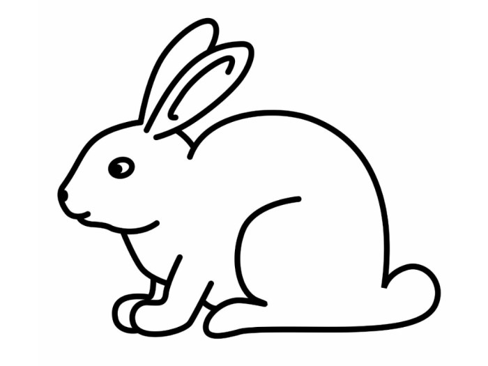 Dessin lapin tres facile